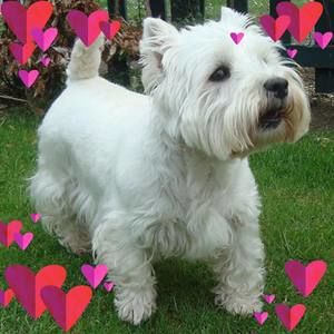 Meet your Posher, Pamela